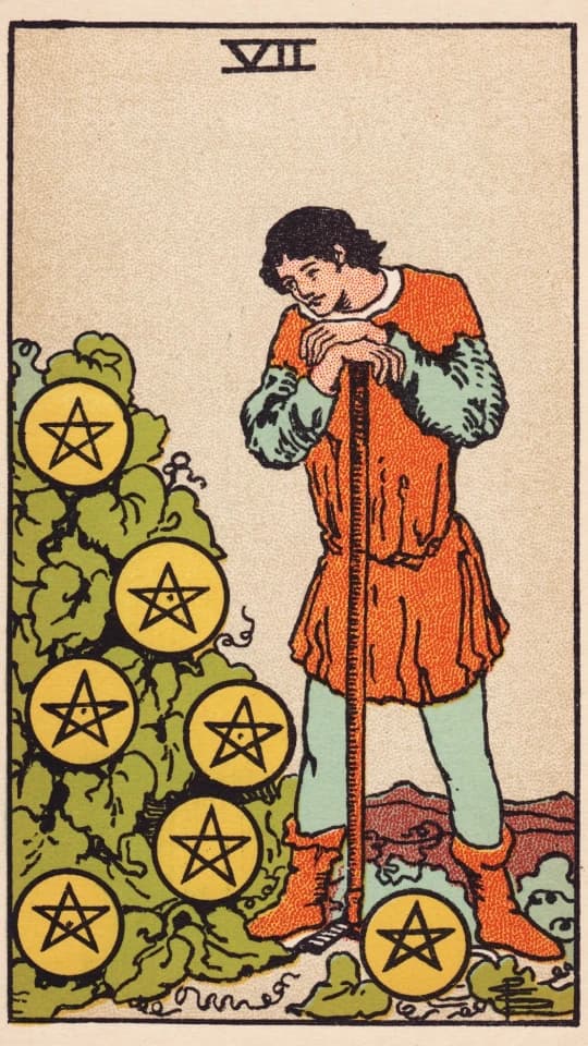Seven of Pentacles