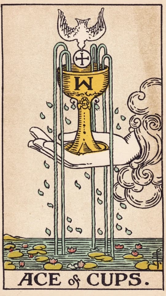 Ace of Cups